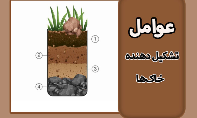 factors-of-soil-formation